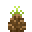 Bamboo Sapling