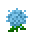 Blue Hydrangea