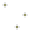 Clover