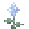 Icy Iris