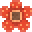 Rafflesia