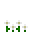 White Anemone