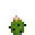 Tiny Cactus