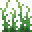 Algae