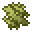 Kelp
