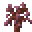 Pink Cherry Sapling
