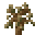 Dying Sapling