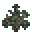 Fir Sapling