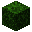 Pine Leaves