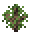 Pine Sapling