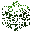 Redwood Leaves