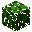 Sacred Oak Leaves