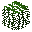 Willow Leaves
