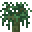 Willow Sapling