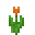 Orange Tulip
