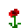 Poppy
