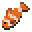 Clownfish
