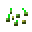 Seeds
