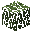 Birch Leaves