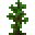 Jungle Sapling
