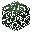 Spruce Leaves